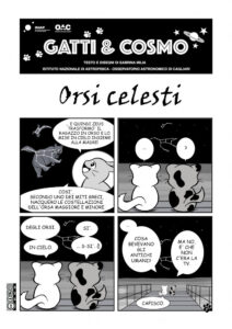 12 - Gatti e Cosmo - Costellazion Orse