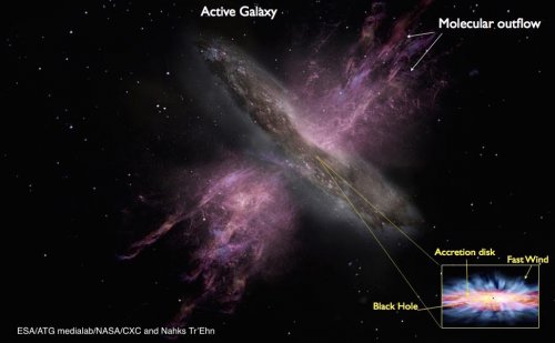 AGN feedback: connecting X-ray ultra fast winds to large scale outflows in Narrow Line Seyfert 1 Galaxies