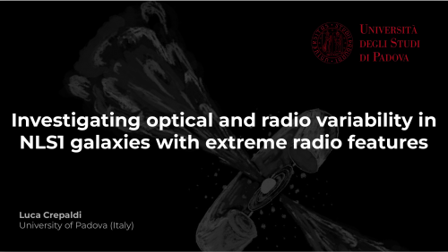 Investigating optical and radio variability in NLS1 galaxies with extreme radio features