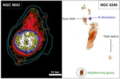 Neutral Hydrogen providing new insights on accretion and AGN feedback from MeerKAT observations of two nearby late galaxies