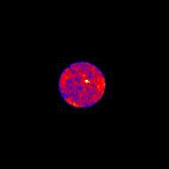 Operazione Antenne Abbronzate- Studi di Fisica Solare e Space Weather con i Radio-Telescopi INAF
