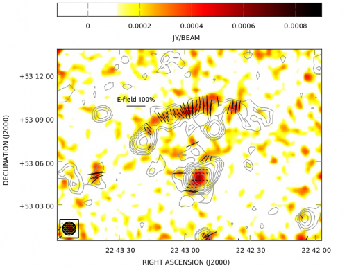Radio relics in galaxy clusters: the curious case of the sausage relic