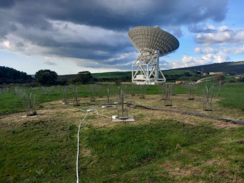 SAADino- a new life for the Sardinia Aperture Array Demonstrator (SAAD)