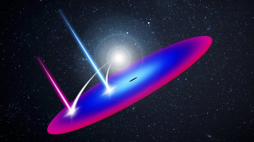 Spectral-timing analysis of accreting black holes - what can we achieve with X-ray reverberation analysis?