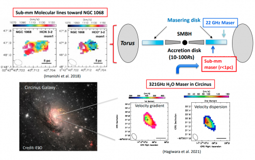 Sub-millimiter H2O masers and dense molecular gas in nearby active nuclei