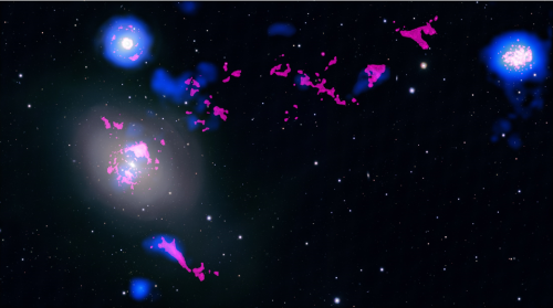 The MeerKAT Fornax Survey first results and its prequels