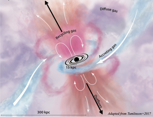 The galaxy baryon cycle: gas, star-formation, and feedback