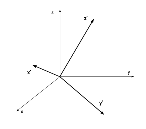 Vita di un'astronoma autistica - Un training di sopravvivenza post-apocalittica